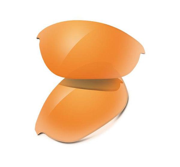 Persimmon