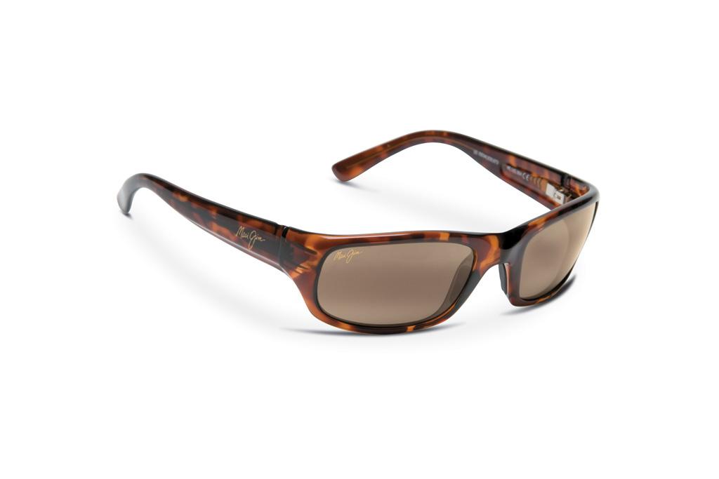 Stingray Sunglass - Progressive Prescription