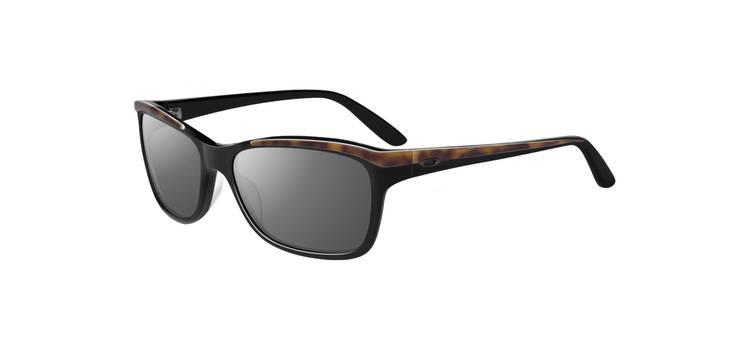 Black Tortoise