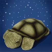 Twilight Turtle