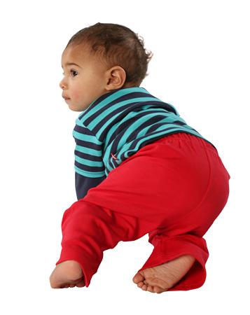 Pant