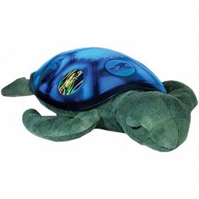 Twilight Sea Turtle - click to enlarge Twilight Sea Turtle