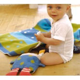 Little Dane/David Fussenegger Reversible Fleece Blanket