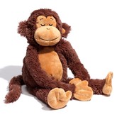 Cloud b Mimicking Monkey