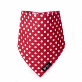 Bazzle Baby BandaBibs (Dottie)