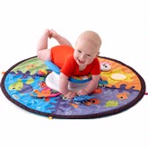 Lamaze Spin and Explore the Sea Gym