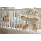Cloud b Sleep Sheep