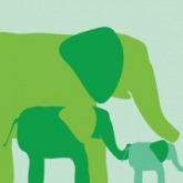 Avalisa Elephant