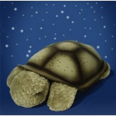 Cloud b Twilight Turtle