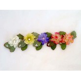 Meg Dana Baby Wild Delphinium