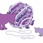 Avalisa Ball of Yarn