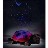 Cloud b Twilight Ladybug