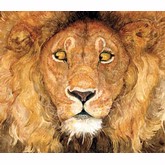 Little Brown The Lion and the Mouse