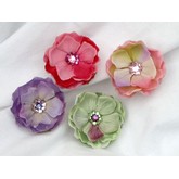 Meg Dana Phlox Spray