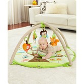 Skip Hop Treetop Friends Activity Gym