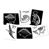 Wee Gallery Baby Flash Cards-Dino