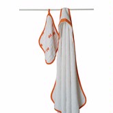 Aden and Anais Hooded Towel/Washcloth Set